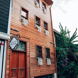 Szálloda Gulliver Mansion Isztambul